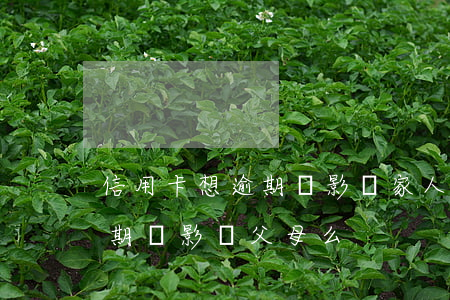 信用卡想逾期會影響家人嗎(子女的信用卡逾期會影響父母么)