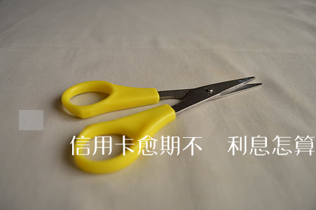信用卡愈期不還利息怎算了