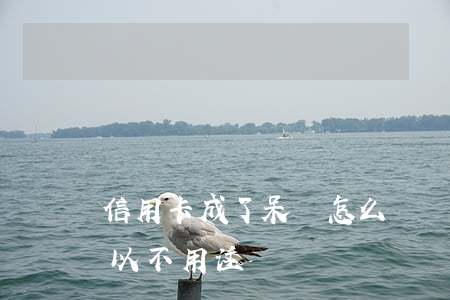 信用卡成了呆賬怎么辦 變成呆賬的信用卡可以不用注銷嗎