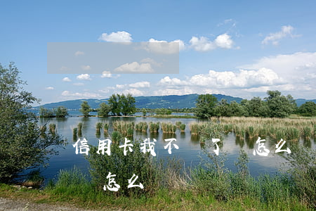 信用卡我不還了會怎么樣(信用卡要是不還款會怎么樣)