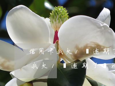 信用卡我欠1萬逾期了會被起訴嗎-信用卡我欠1萬逾期了會被起訴嗎怎么辦