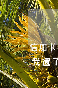 信用卡我還了最低為什么還是逾期-信用卡我還了最低為什么還是逾期了