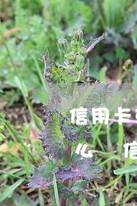 信用卡或者網(wǎng)貸逾期被起訴怎么辦(信用卡或者網(wǎng)貸逾期被起訴怎么辦)