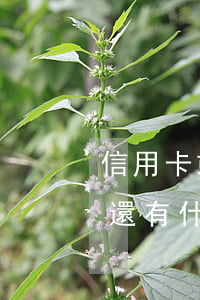 信用卡或透支卡會過期嗎(信用卡透支逾期不還有什么后果)
