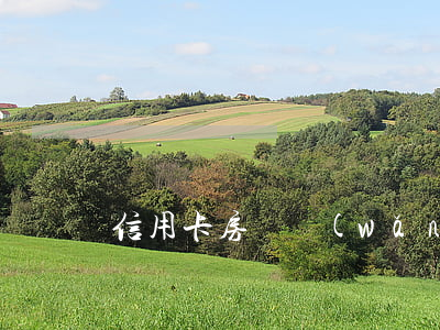 信用卡房貸網(wǎng)貸都逾期了