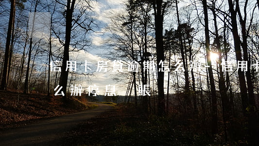 信用卡房貸逾期怎么辦-信用卡房貸逾期怎么辦停息掛賬