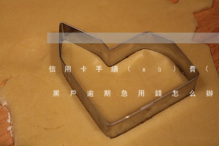 信用卡手續(xù)費(fèi)逾期黑戶(黑戶逾期急用錢怎么辦)