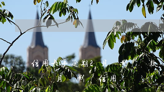 信用卡手逾期2月會影響貸款(銀行貸款逾期兩個月會影響信用嗎)