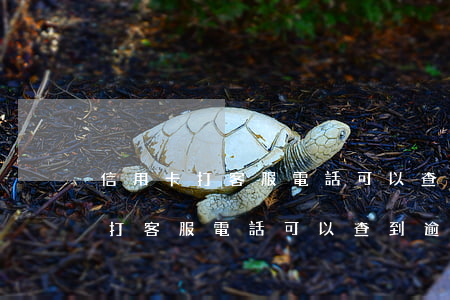 信用卡打客服電話可以查到逾期嗎-信用卡打客服電話可以查到逾期嗎是真的嗎