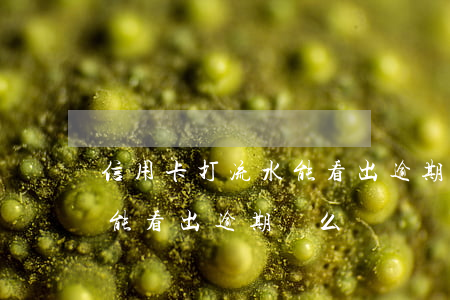 信用卡打流水能看出逾期來么(信用卡打流水能看出逾期來么嗎)