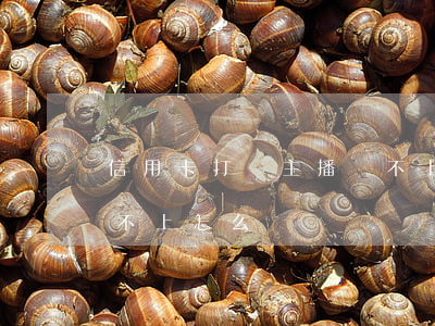 信用卡打賞主播還不上-信用卡打賞主播還不上怎么辦