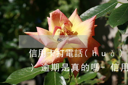 信用卡打電話(huà)催款說(shuō)逾期是真的嗎-信用卡打電話(huà)催款說(shuō)逾期是真的嗎嗎