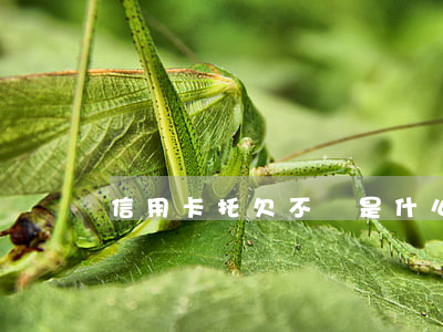 信用卡托欠不還是什么罪