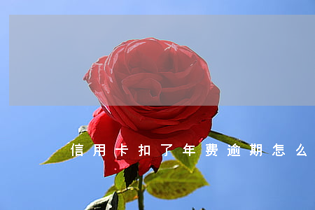 信用卡扣了年费逾期怎么办(信用卡 逾期 费用)