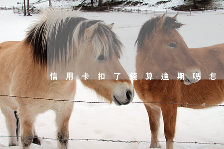 信用卡扣了錢算逾期嗎怎么辦