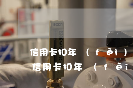 信用卡扣年費(fèi)后逾期了怎么處理(信用卡扣年費(fèi)后逾期了怎么處理好)
