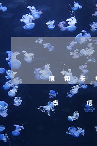 信用卡扣年費(fèi)還會(huì)透支嗎(信用卡會(huì)扣年費(fèi)么)