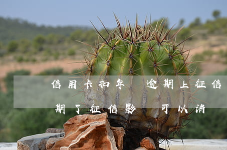 信用卡扣年費逾期上征信(華夏信用卡年費逾期了,征信影響可以消嗎)
