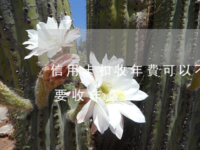 信用卡扣收年費可以不還嗎(為什么信用卡還要收年費)