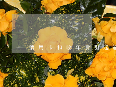 信用卡扣收年費引起逾期(信用卡突然扣年費了)