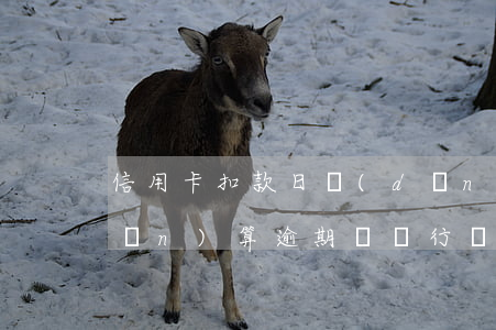 信用卡扣款日當(dāng)天幾點(diǎn)算逾期嗎(銀行當(dāng)天還款幾點(diǎn)算逾期啊)