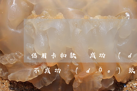 信用卡扣款沒成功導(dǎo)致逾期(扣款不成功導(dǎo)致逾期)