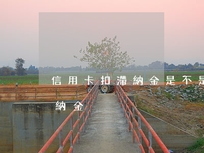 信用卡扣滯納金是不是逾期了(信用卡 逾期 滯納金)