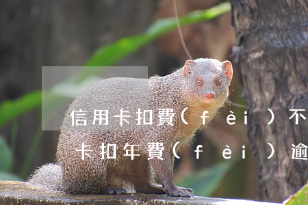 信用卡扣費(fèi)不知情造成逾期(信用卡扣年費(fèi)逾期了)