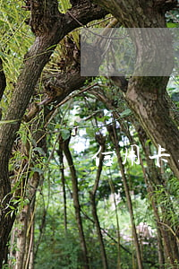 信用卡批量起訴的原理
