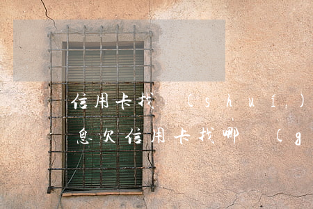 信用卡找誰(shuí)協(xié)商停息(欠信用卡找哪個(gè)部門協(xié)商)