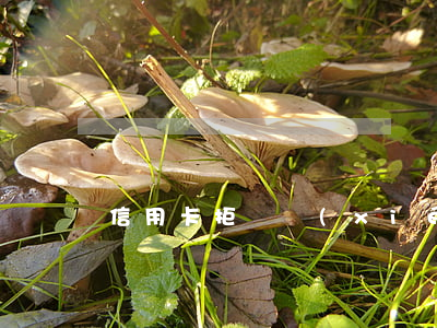信用卡拒絕協(xié)商