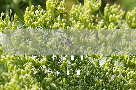 信用卡拒絕協(xié)商后續(xù)(信用卡拒絕協(xié)商后續(xù)還款)
