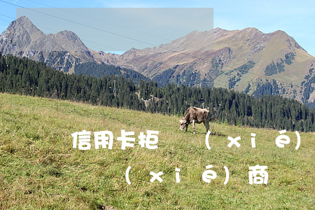 信用卡拒絕協(xié)商違約金(信用卡拒絕協(xié)商違約金怎么算)
