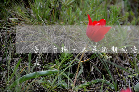 信用卡拖一天算逾期吗 信用卡拖一天算逾期吗