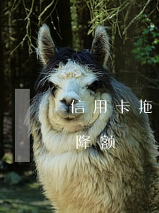 信用卡拖欠不还会降额吗(信用卡逾期会不会降额)