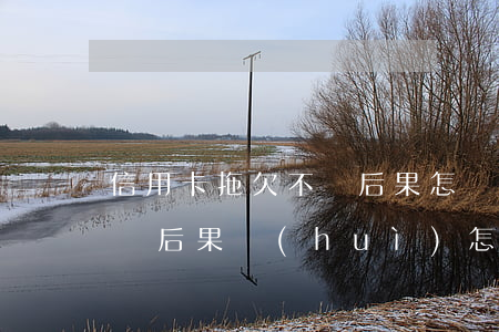 信用卡拖欠不還后果怎樣(如果拖欠信用卡不還后果會(huì)怎么樣)