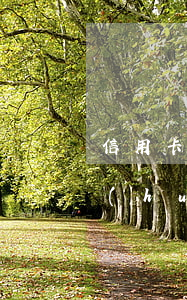 信用卡拖欠別起訴后(信用卡拖欠幾千塊也會(huì)被起訴嗎)
