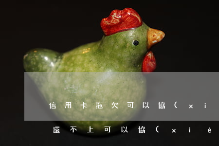 信用卡拖欠可以協(xié)商嗎(欠信用卡還不上可以協(xié)商還款嗎)