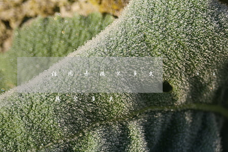 信用卡拖欠多久會(huì)立案(信用卡能拖欠多久)