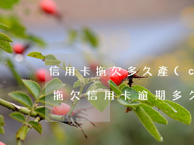 信用卡拖欠多久產(chǎn)生逾期(故意拖欠信用卡逾期多久會被起訴)