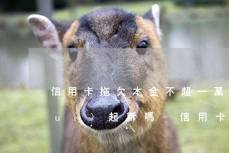 信用卡拖欠本金不超一萬(wàn)會(huì)起訴嗎-信用卡拖欠本金不超一萬(wàn)會(huì)起訴嗎知乎