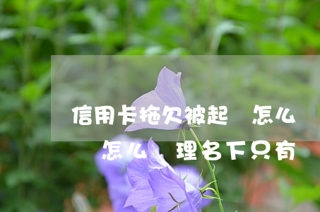 信用卡拖欠被起訴怎么處理(信用卡拖欠被起訴怎么處理,名下只有貸款車會被凍結(jié)嗎)