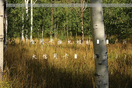 信用卡拖欠被起訴會(huì)有什么后果(欠信用卡會(huì)被起訴嗎)