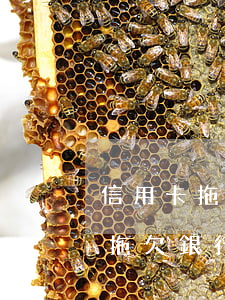 信用卡拖欠銀行傳票多久可以起訴-信用卡拖欠銀行傳票多久可以起訴呢