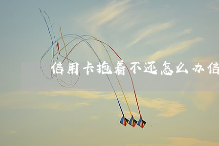 信用卡拖着不还怎么办(信用卡拖欠不还)