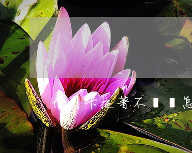 信用卡拖著不還會怎么處理(信用卡 拖欠)