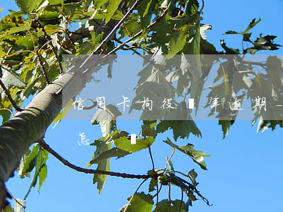 信用卡拘役兩年逾期-拘留后信用卡逾期了怎么辦