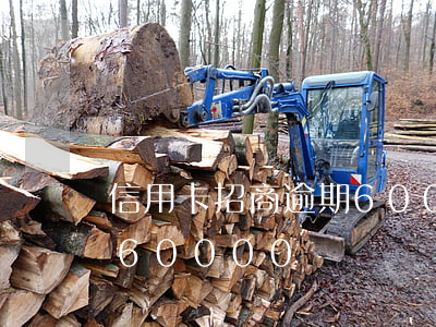 信用卡招商逾期60000（信用卡招商逾期60000）