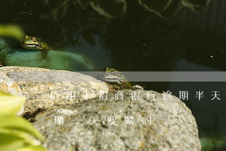 信用卡招商银行逾期半天-招商的信用卡逾期一天要紧吗