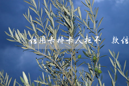 信用卡持卡人拒不還款(信用卡不能還款)